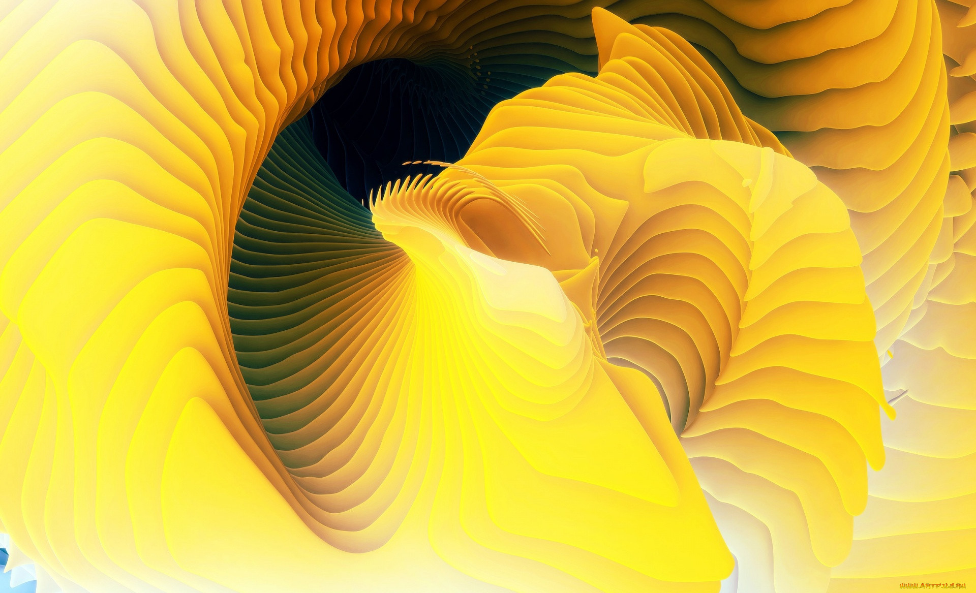  ,  , graphics, , , 